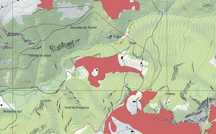swisstopo national map showing the protected perimeter of Prodavos Sura (Dry meadow)