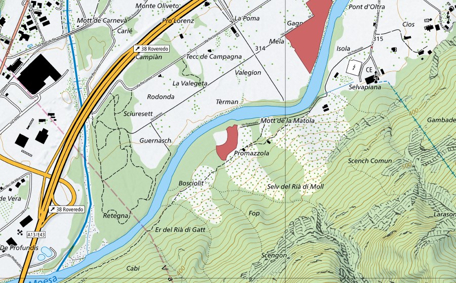 swisstopo national map showing the protected perimeter of Promazzola (Dry meadow)