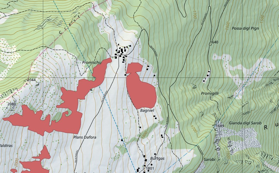 Landeskarte swisstopo mit dem Schutzperimeter von Promigilli (Trockenwiese)