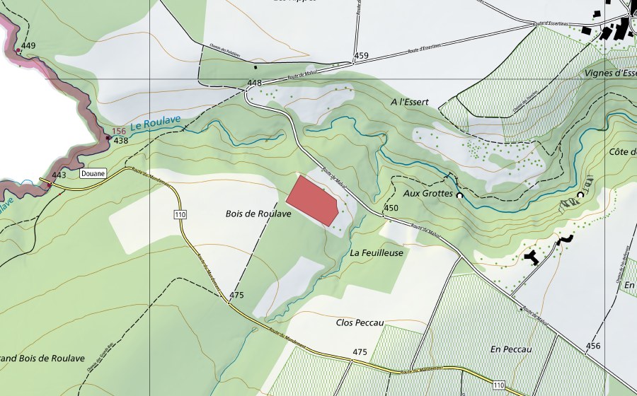 Carte nationale swisstopo avec le périmètre protégé de Punais (Prairie sèche)