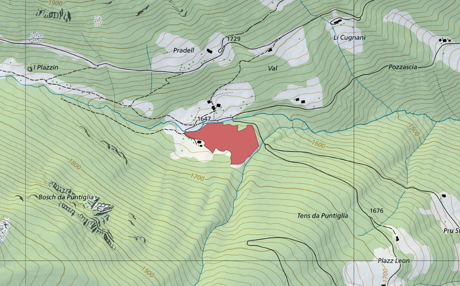 swisstopo national map showing the protected perimeter of Puntiglia (Dry meadow)