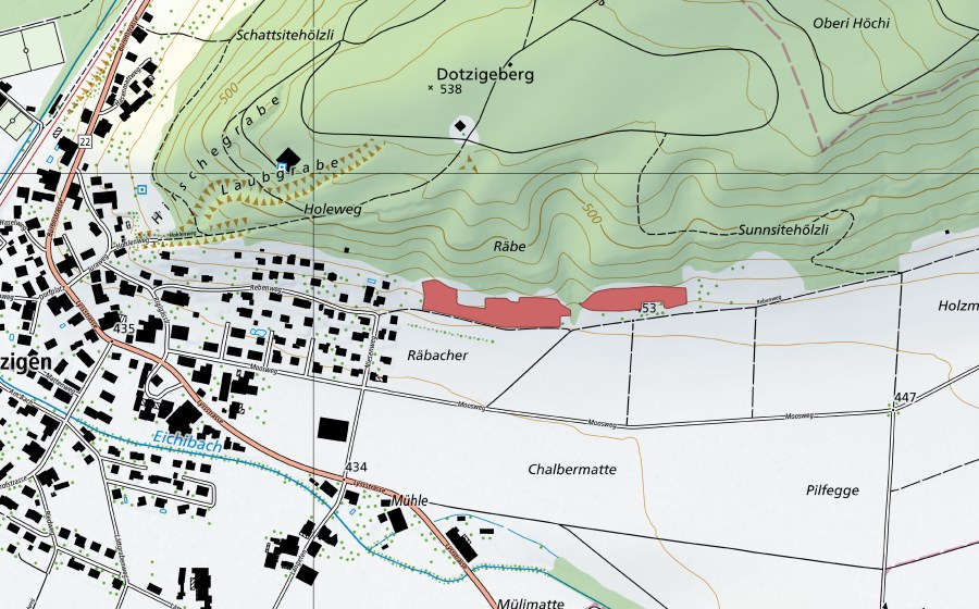 Landeskarte swisstopo mit dem Schutzperimeter von Raben (Trockenwiese)