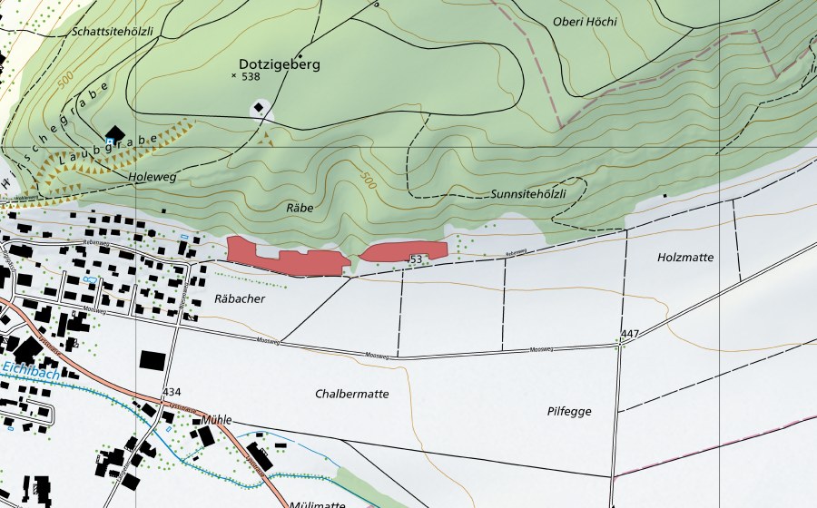 Landeskarte swisstopo mit dem Schutzperimeter von Raben (Trockenwiese)