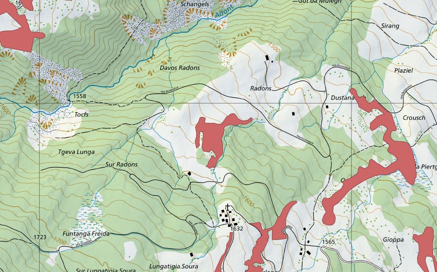 Carte nationale swisstopo avec le périmètre protégé de Radons (Prairie sèche)