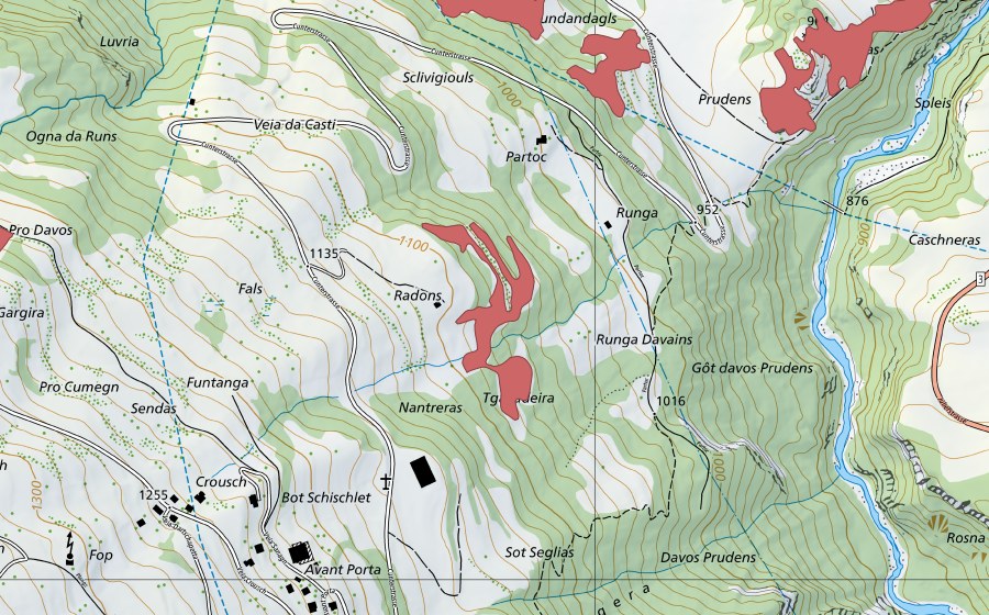 Carte nationale swisstopo avec le périmètre protégé de Radons (Prairie sèche)