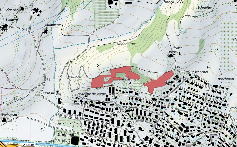 Landeskarte swisstopo mit dem Schutzperimeter von Rain (Trockenwiese)