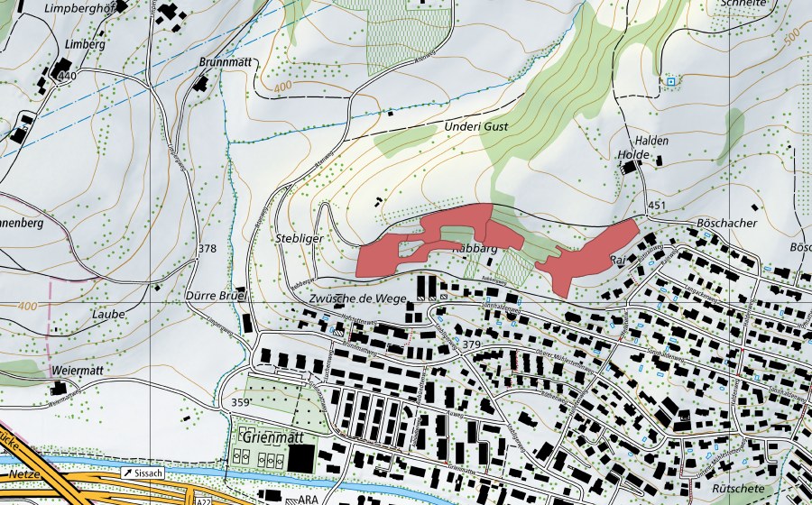 Carte nationale swisstopo avec le périmètre protégé de Rain (Prairie sèche)
