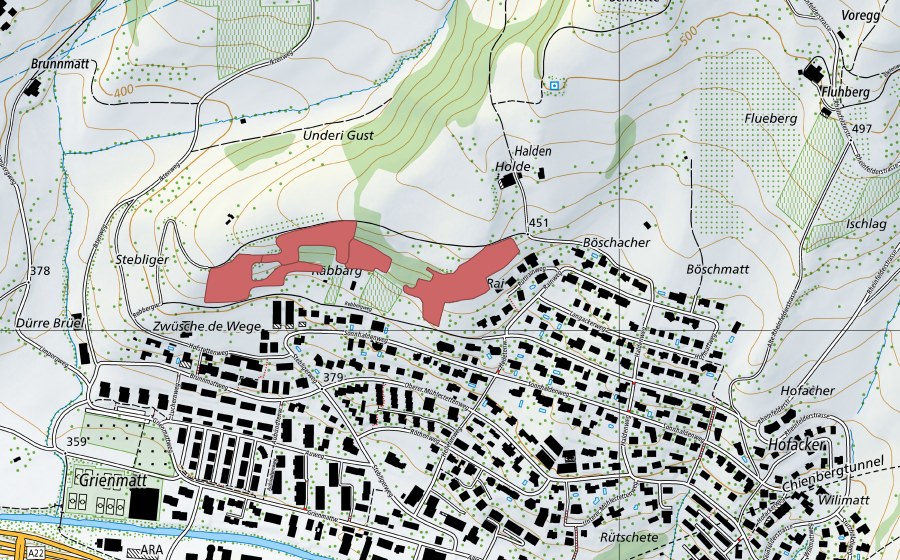 swisstopo national map showing the protected perimeter of Rain (Dry meadow)