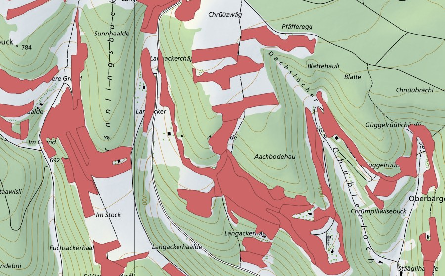 Landeskarte swisstopo mit dem Schutzperimeter von Randen (Trockenwiese)