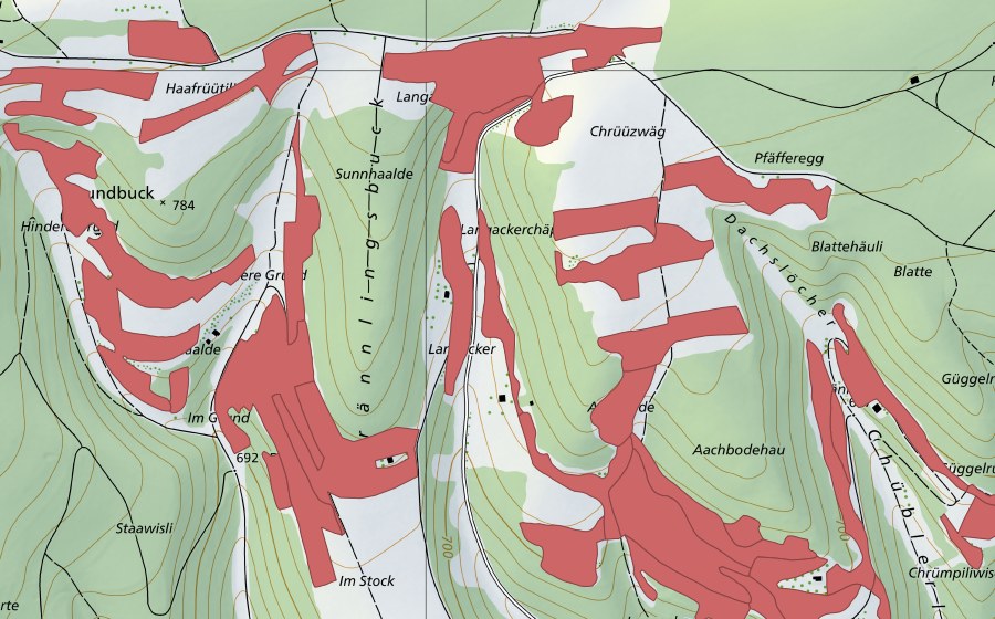 Landeskarte swisstopo mit dem Schutzperimeter von Randen (Trockenwiese)