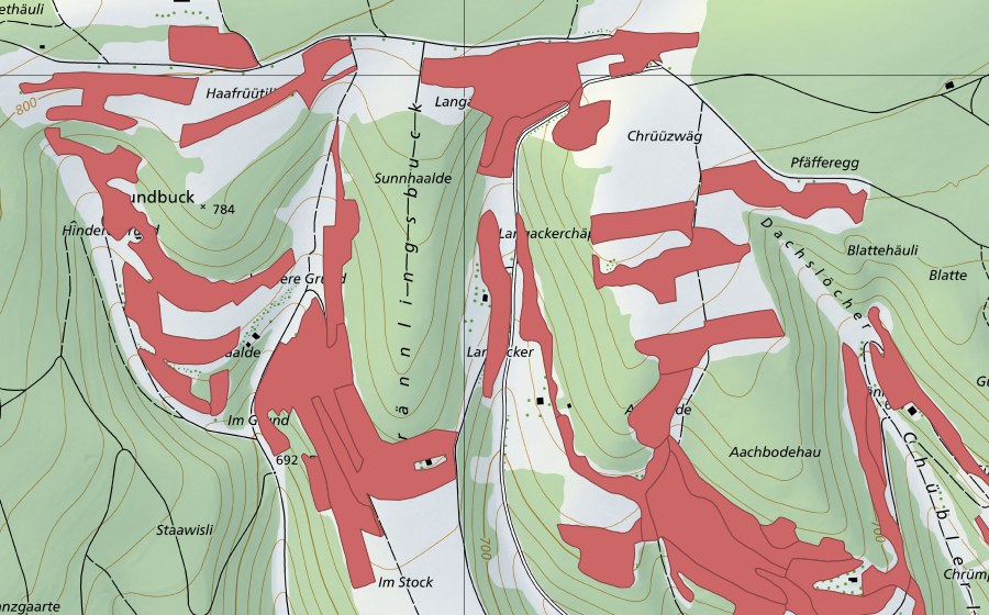 Landeskarte swisstopo mit dem Schutzperimeter von Randen (Trockenwiese)