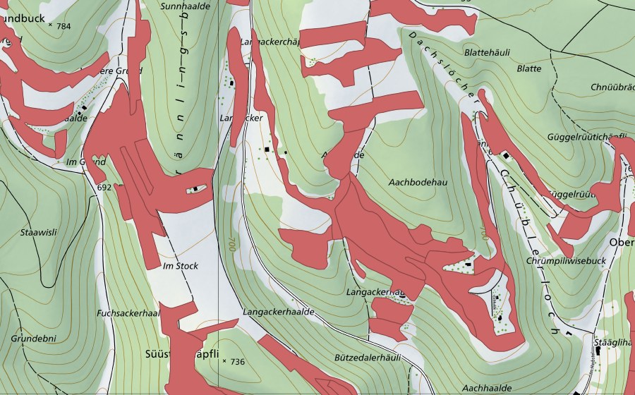 Landeskarte swisstopo mit dem Schutzperimeter von Randen (Trockenwiese)