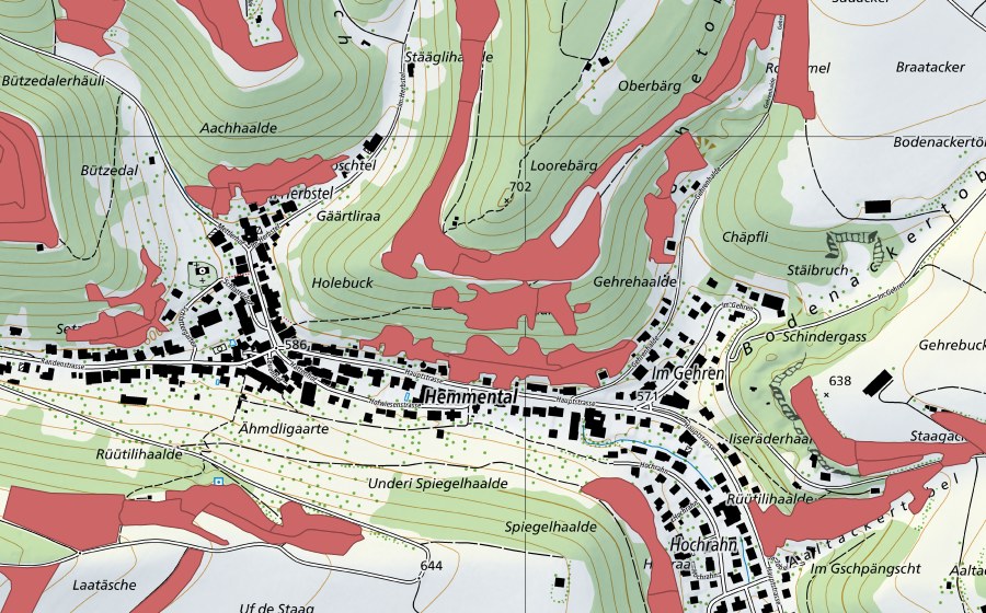 swisstopo national map showing the protected perimeter of Randen (Dry meadow)