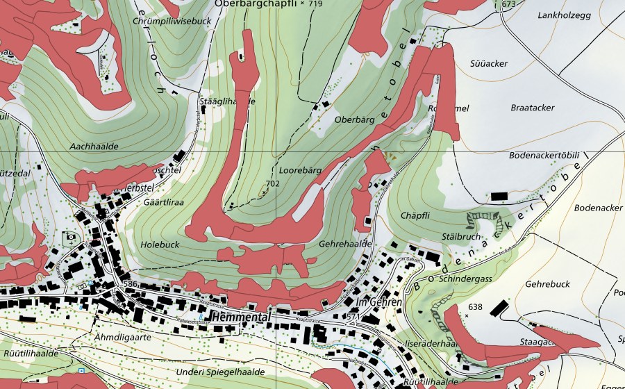 swisstopo national map showing the protected perimeter of Randen (Dry meadow)