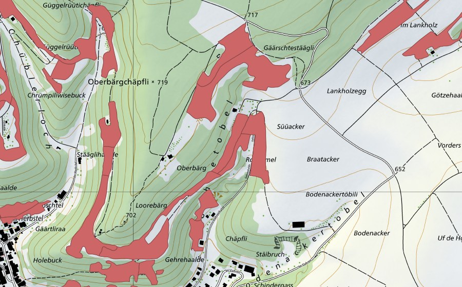 Landeskarte swisstopo mit dem Schutzperimeter von Randen (Trockenwiese)