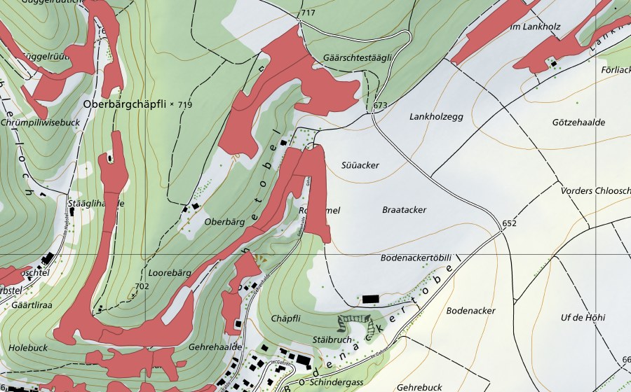 swisstopo national map showing the protected perimeter of Randen (Dry meadow)