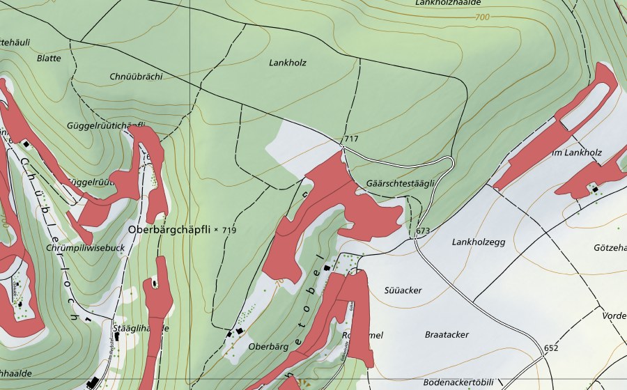 Landeskarte swisstopo mit dem Schutzperimeter von Randen (Trockenwiese)