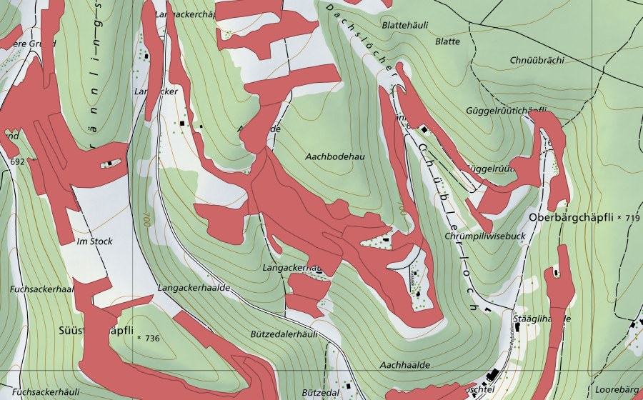 swisstopo national map showing the protected perimeter of Randen (Dry meadow)