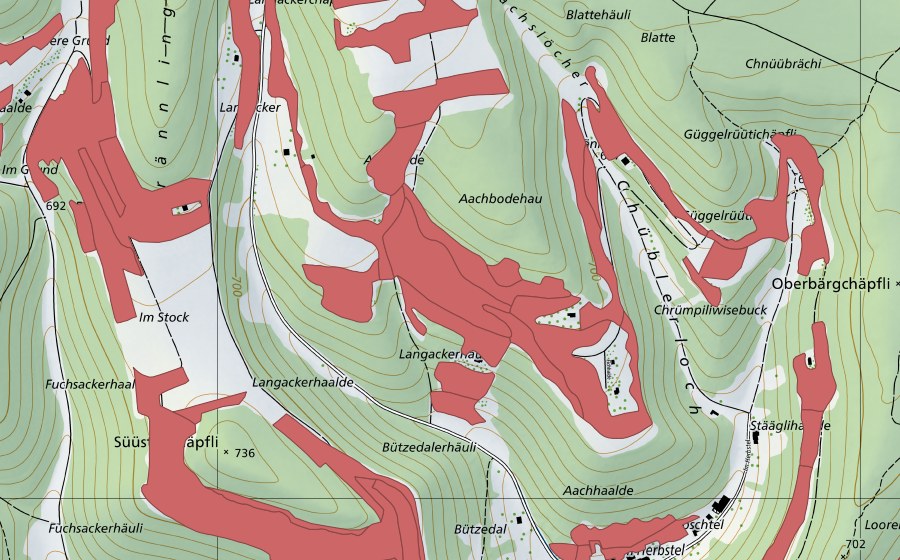 Landeskarte swisstopo mit dem Schutzperimeter von Randen (Trockenwiese)