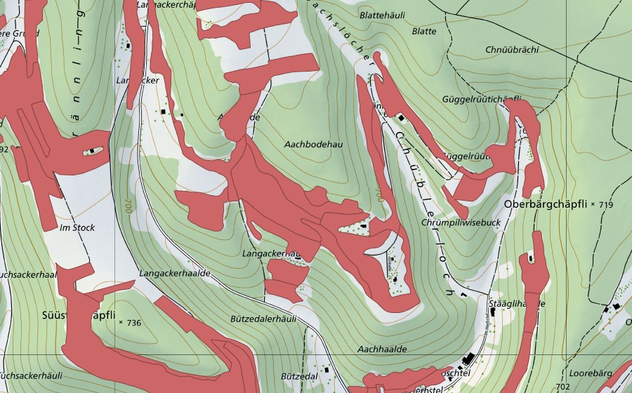 Landeskarte swisstopo mit dem Schutzperimeter von Randen (Trockenwiese)