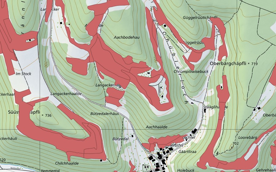 Landeskarte swisstopo mit dem Schutzperimeter von Randen (Trockenwiese)