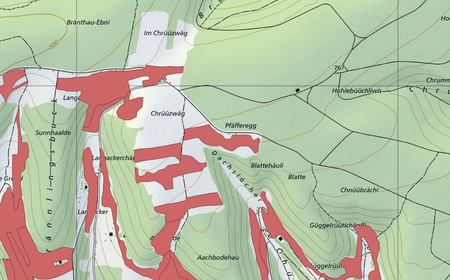 swisstopo national map showing the protected perimeter of Randen (Dry meadow)
