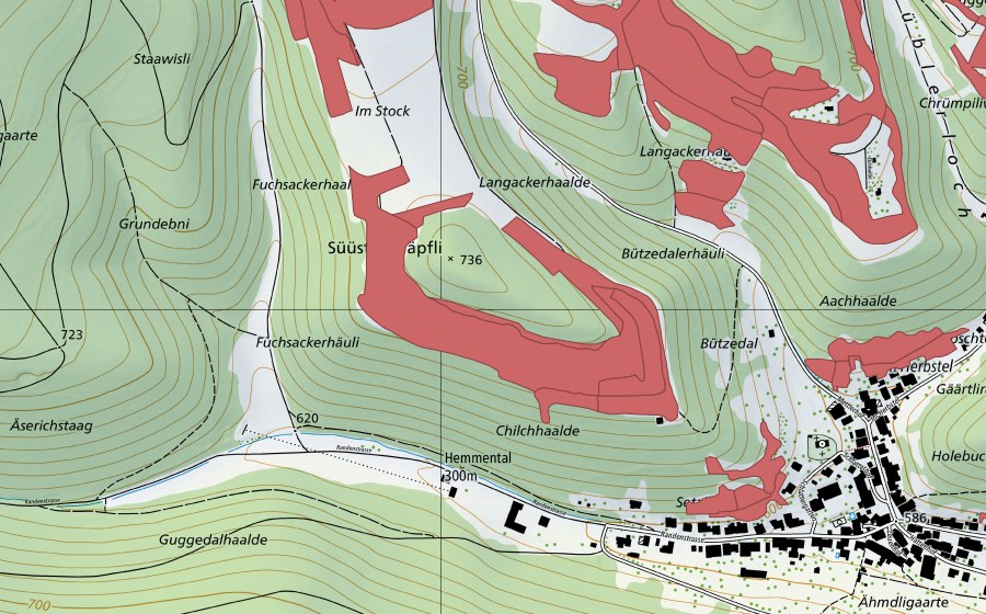 Landeskarte swisstopo mit dem Schutzperimeter von Randen (Trockenwiese)