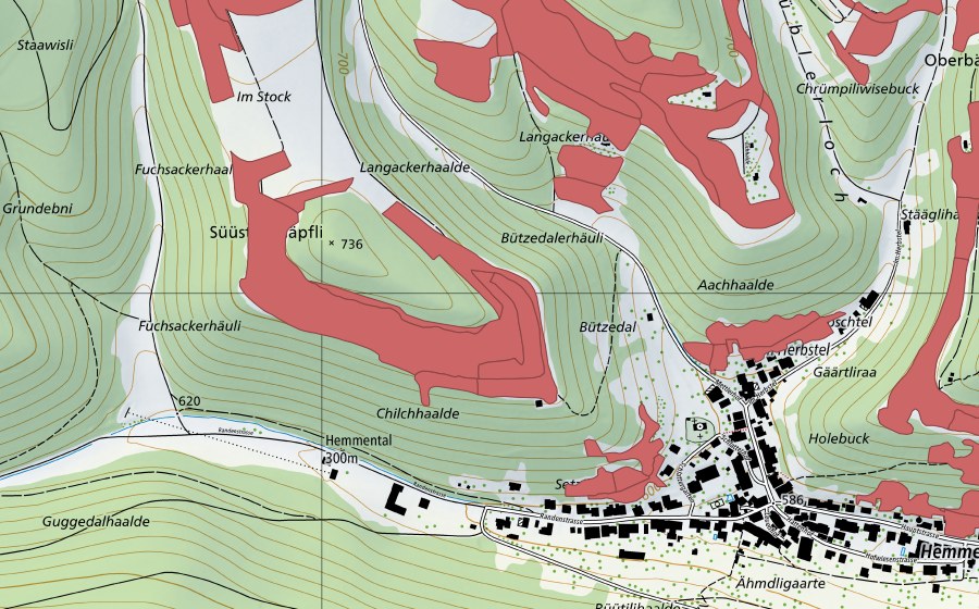 Landeskarte swisstopo mit dem Schutzperimeter von Randen (Trockenwiese)