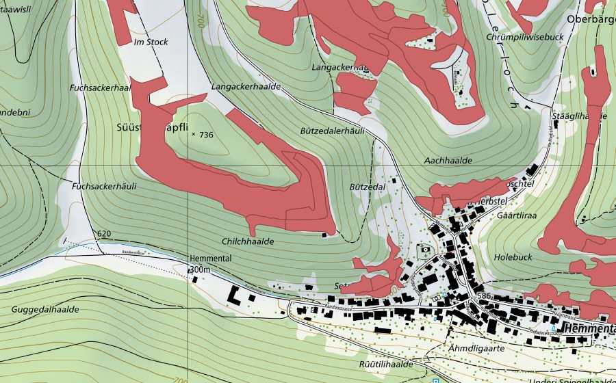 Landeskarte swisstopo mit dem Schutzperimeter von Randen (Trockenwiese)