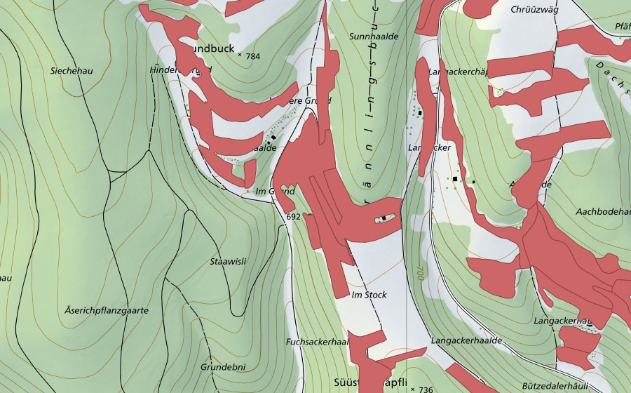 Landeskarte swisstopo mit dem Schutzperimeter von Randen (Trockenwiese)