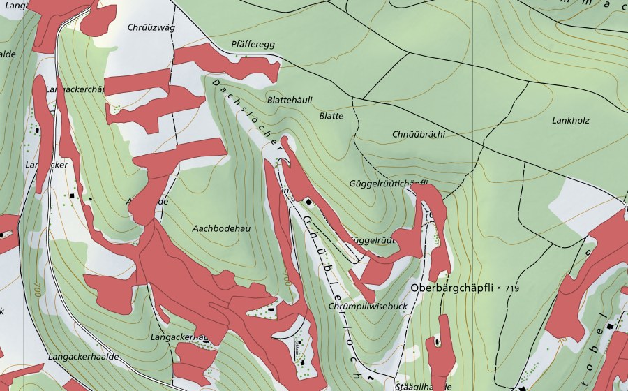 Landeskarte swisstopo mit dem Schutzperimeter von Randen (Trockenwiese)