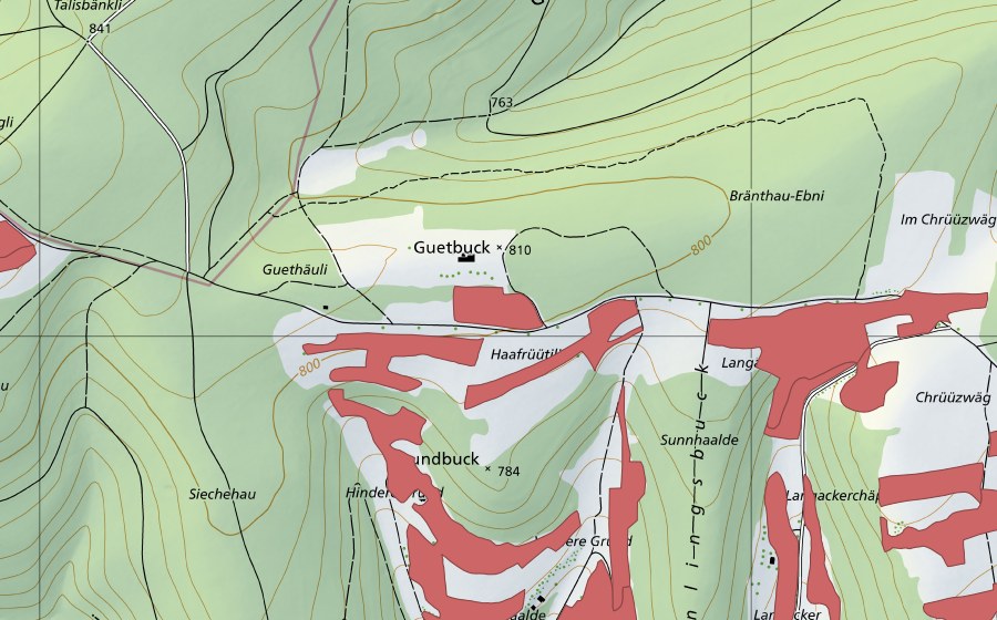 Landeskarte swisstopo mit dem Schutzperimeter von Randen (Trockenwiese)