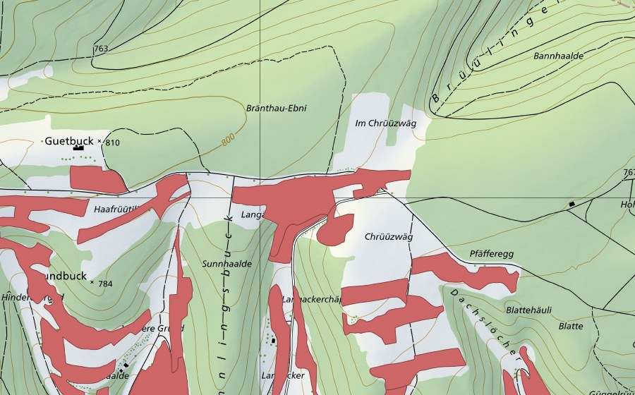 Landeskarte swisstopo mit dem Schutzperimeter von Randen (Trockenwiese)