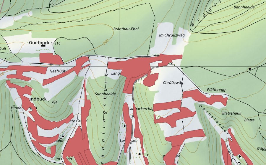 swisstopo national map showing the protected perimeter of Randen (Dry meadow)