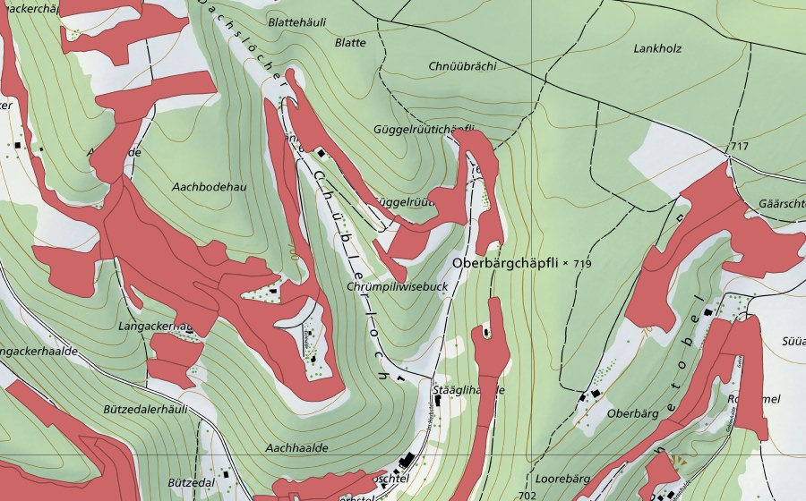 Landeskarte swisstopo mit dem Schutzperimeter von Randen (Trockenwiese)