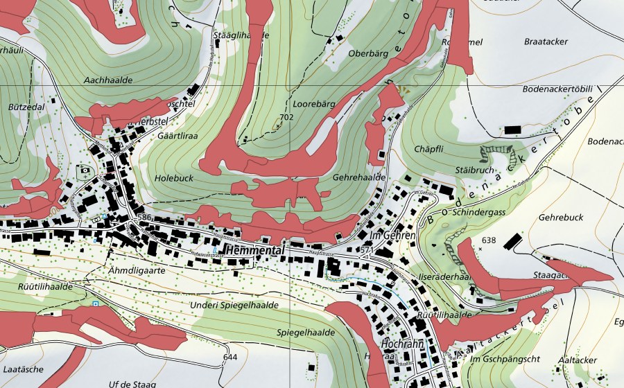 Landeskarte swisstopo mit dem Schutzperimeter von Randen (Trockenwiese)
