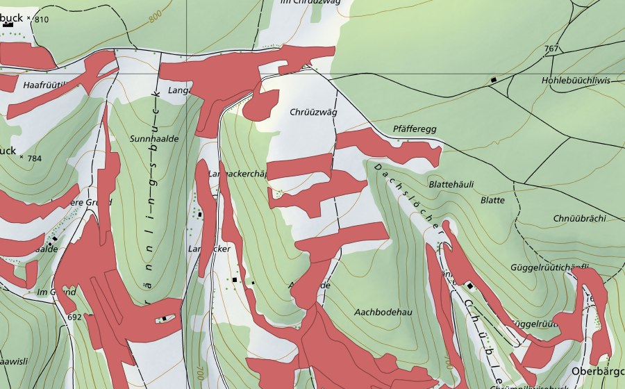 swisstopo national map showing the protected perimeter of Randen (Dry meadow)