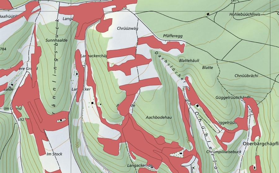Landeskarte swisstopo mit dem Schutzperimeter von Randen (Trockenwiese)