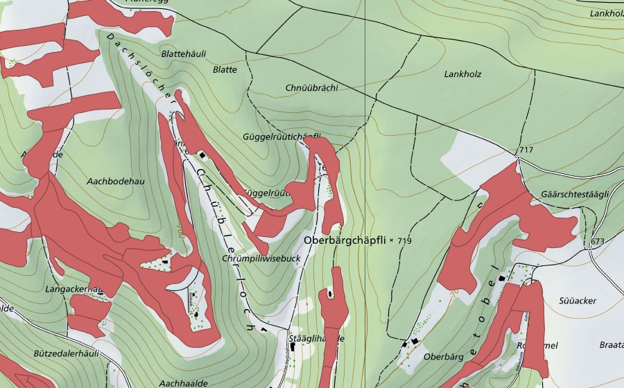 swisstopo national map showing the protected perimeter of Randen (Dry meadow)