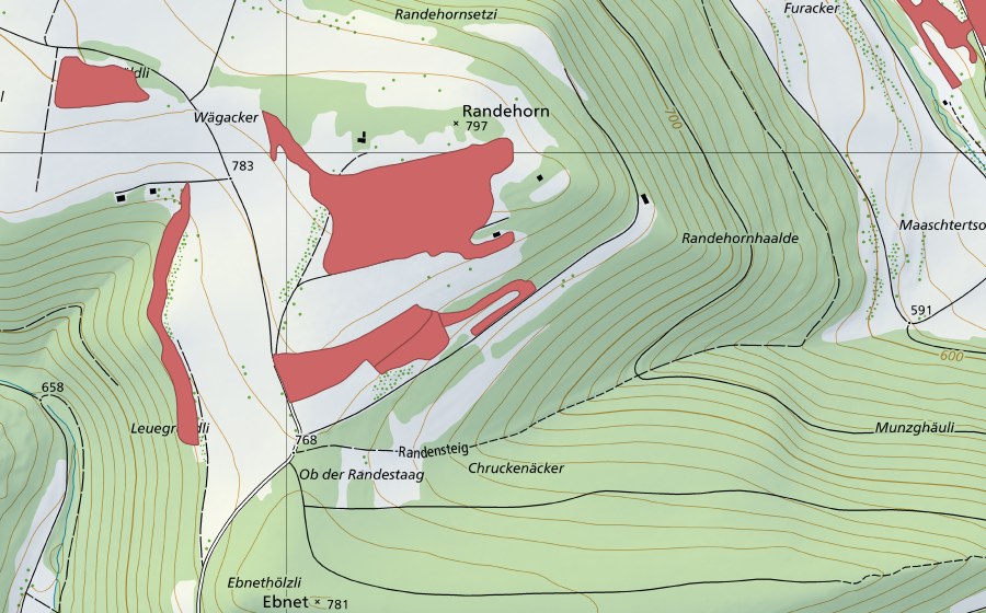 swisstopo national map showing the protected perimeter of Randenhorn (Dry meadow)