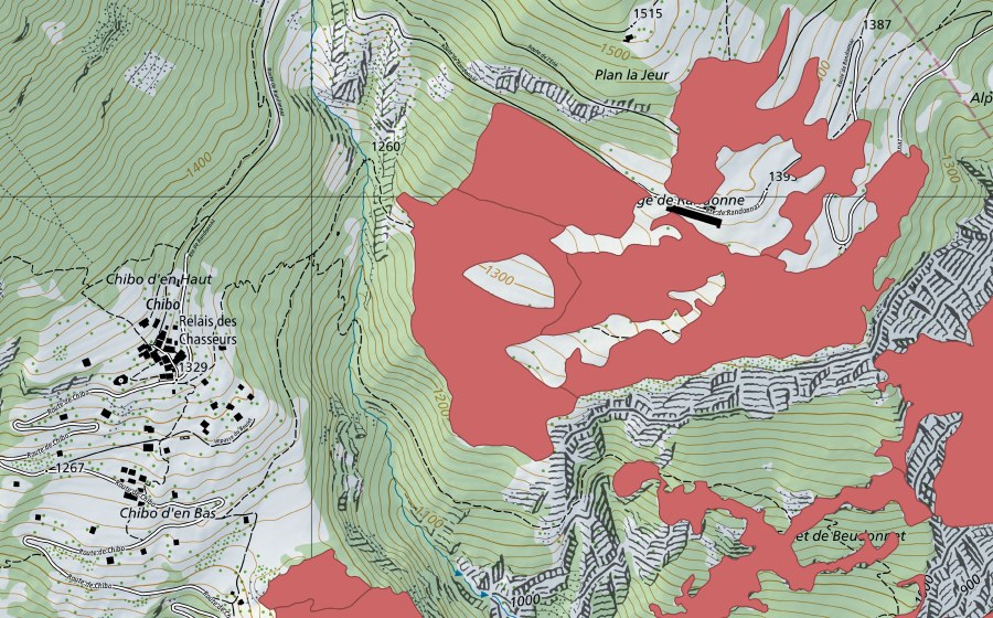 Landeskarte swisstopo mit dem Schutzperimeter von Randonne (Trockenwiese)