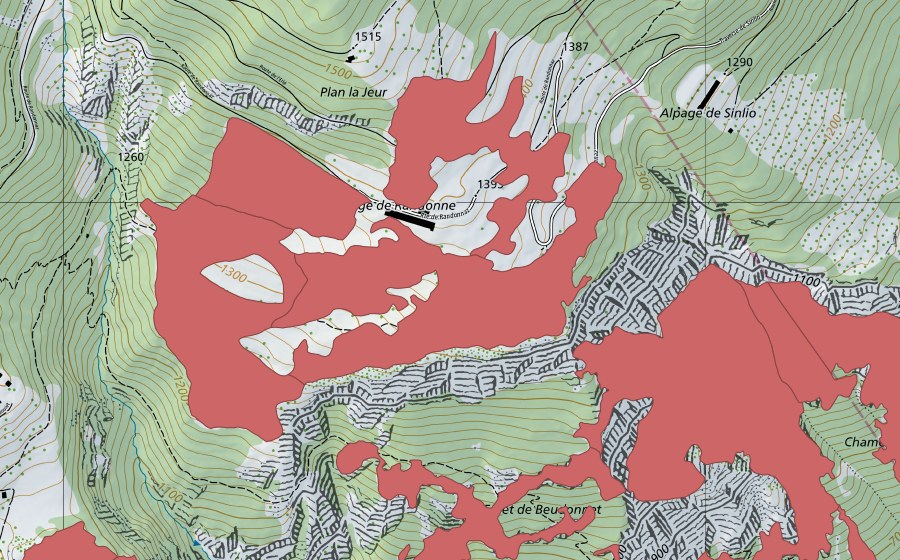 Landeskarte swisstopo mit dem Schutzperimeter von Randonne (Trockenwiese)