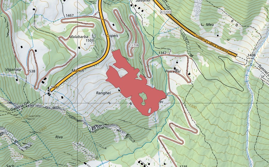 swisstopo national map showing the protected perimeter of Ranghei (Dry meadow)