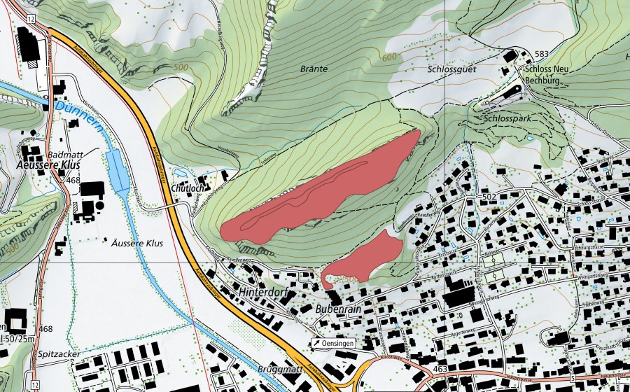 Landeskarte swisstopo mit dem Schutzperimeter von Ravellen (Trockenwiese)