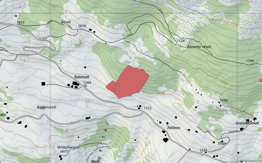 swisstopo national map showing the protected perimeter of Razismatt (Dry meadow)