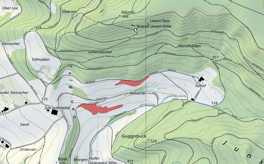 Landeskarte swisstopo mit dem Schutzperimeter von Rebacher (Trockenwiese)