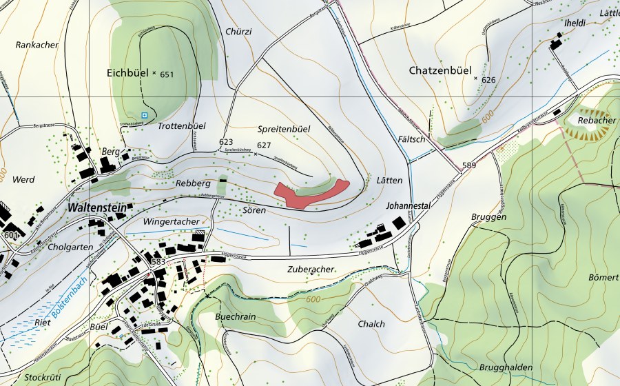 Landeskarte swisstopo mit dem Schutzperimeter von Rebberg (Trockenwiese)