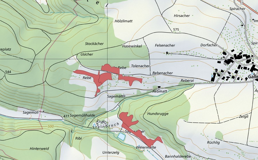 Landeskarte swisstopo mit dem Schutzperimeter von Reben (Trockenwiese)