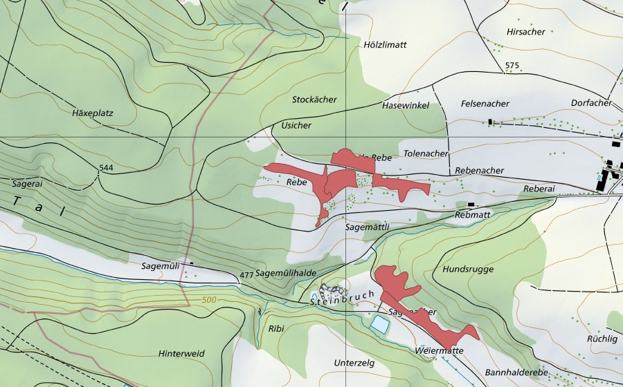 Carte nationale swisstopo avec le périmètre protégé de Reben (Prairie sèche)