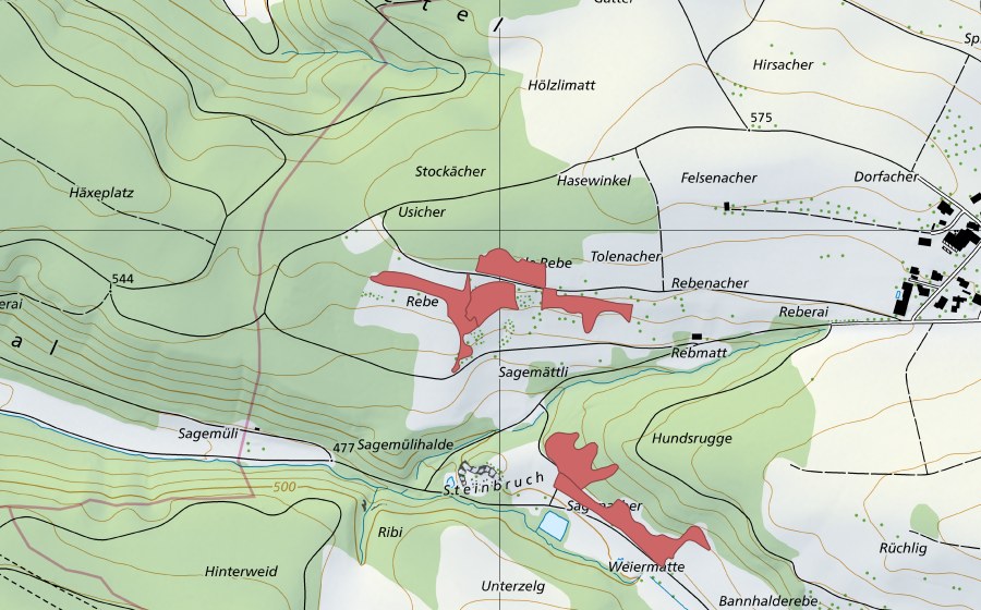 Carte nationale swisstopo avec le périmètre protégé de Reben (Prairie sèche)